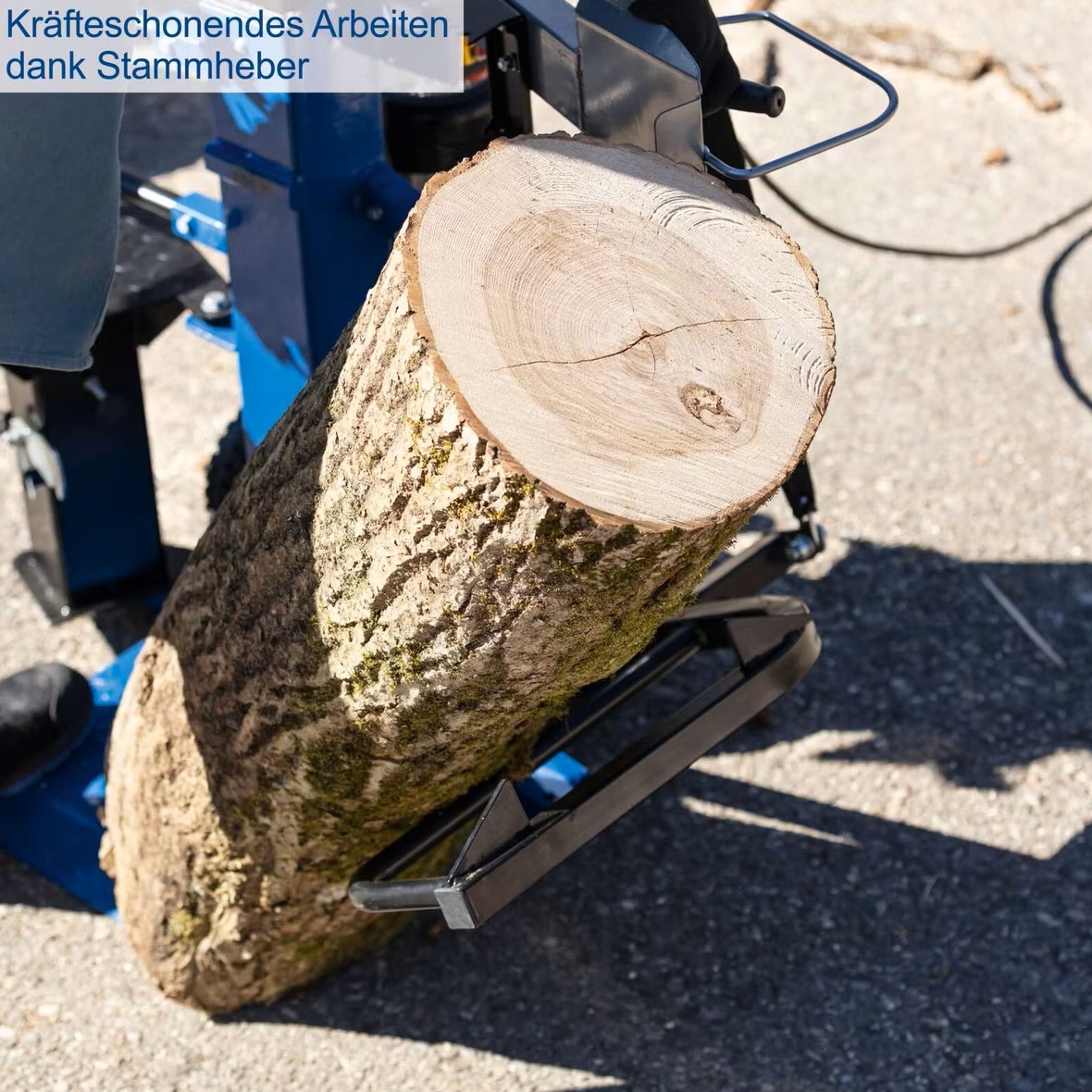 Holzspalter stehend Compact 10t Scheppach - 230V | 3150W | 10 Tonnen | Meterholzspalter | 1070mm Spaltgutlänge | 380mm Spaltdurchmesser - immagine 6